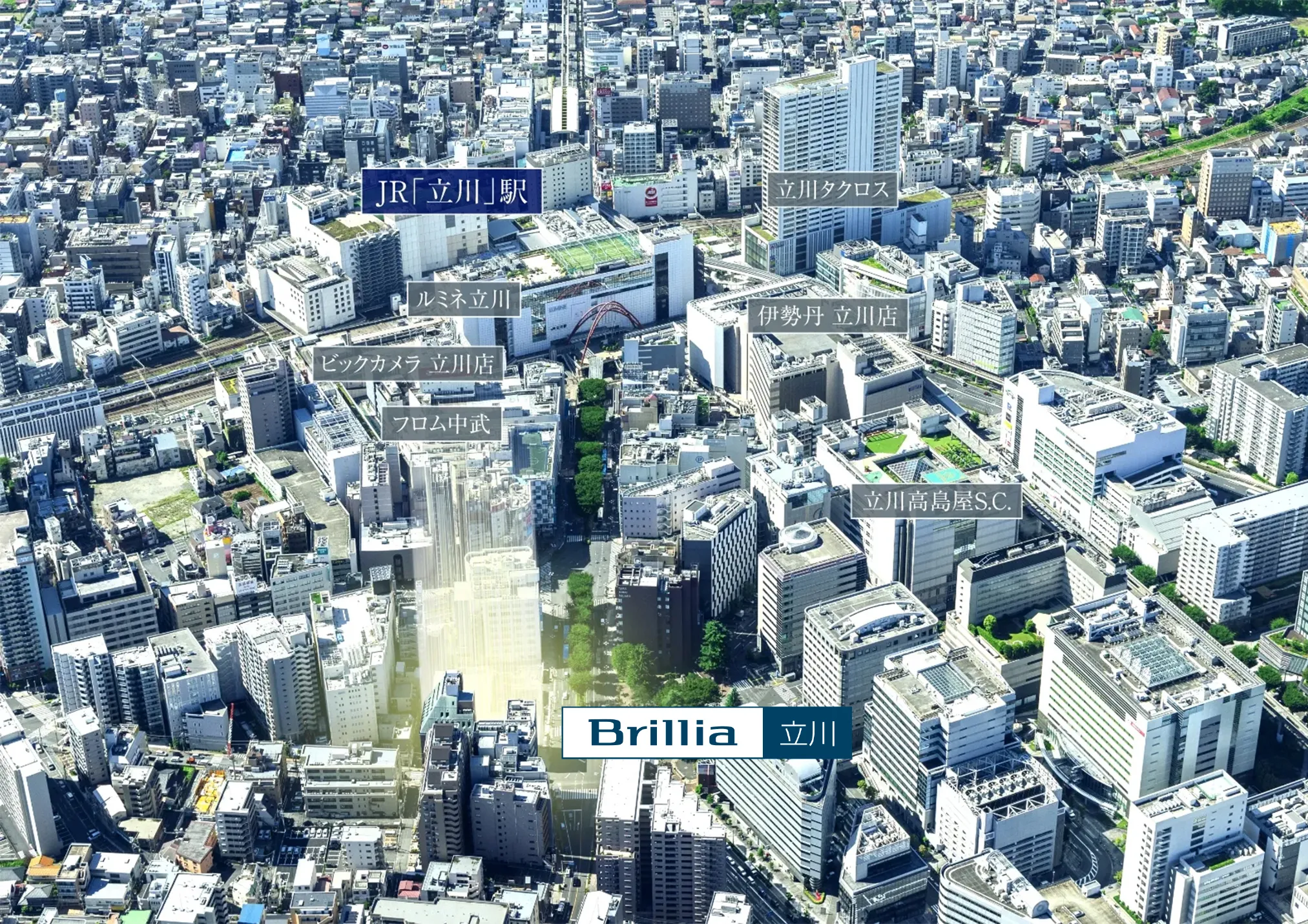 航空写真