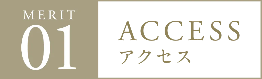 MERIT01 アクセス