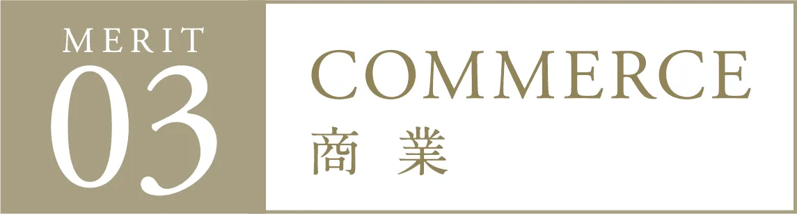 MERIT03 商業